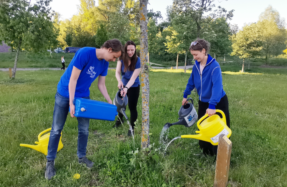 Drei Engagierte gießen einen Stadtbaum in Leipzig