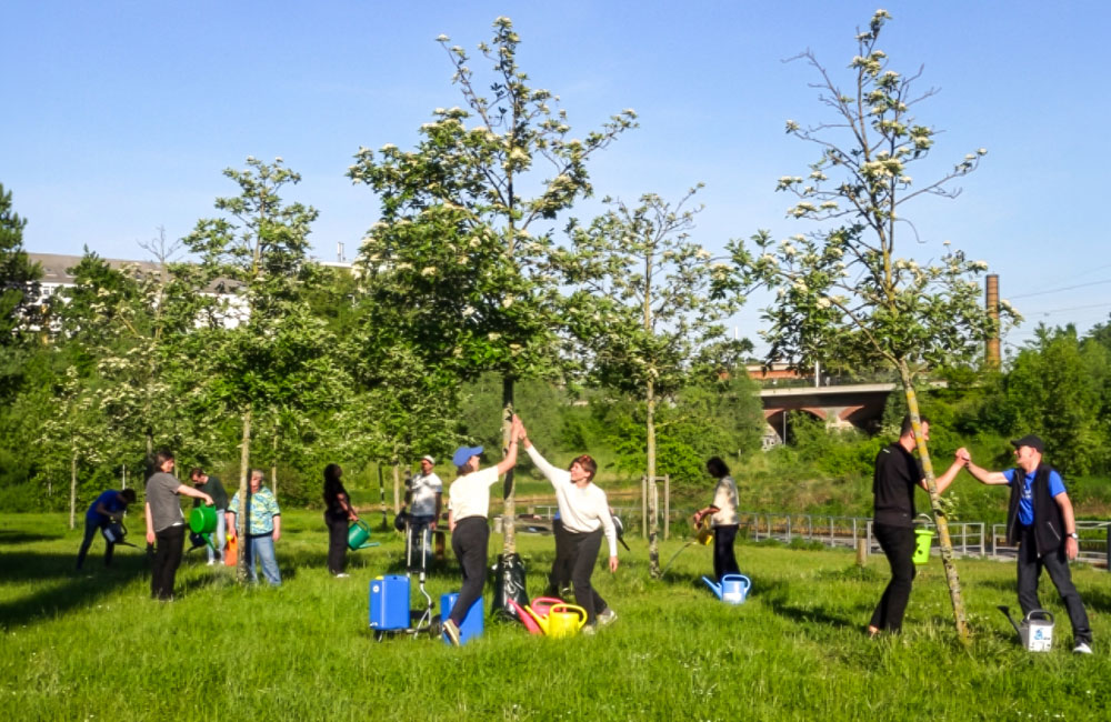 Mehrere Menschen gießen zusammen und geben sich High-Five.