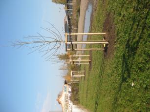 Obsthain, Nord