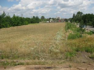 Urbaner Wald, Nord, Aufforstung