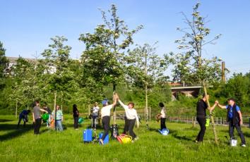 Mehrere Menschen gießen zusammen und geben sich High-Five.